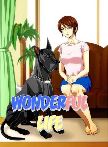 wonderful life cover