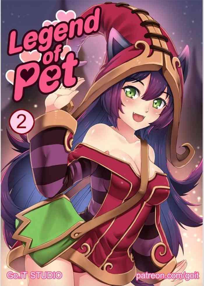 legend of pet 2 cover