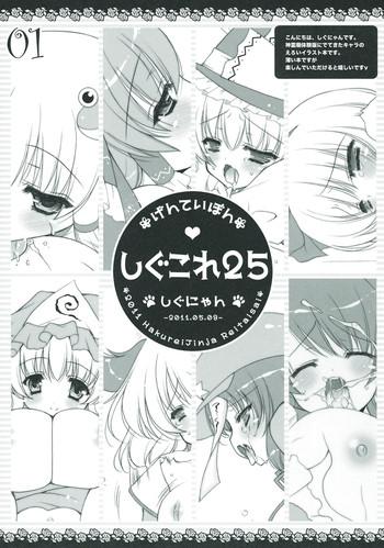 shigukore25 cover