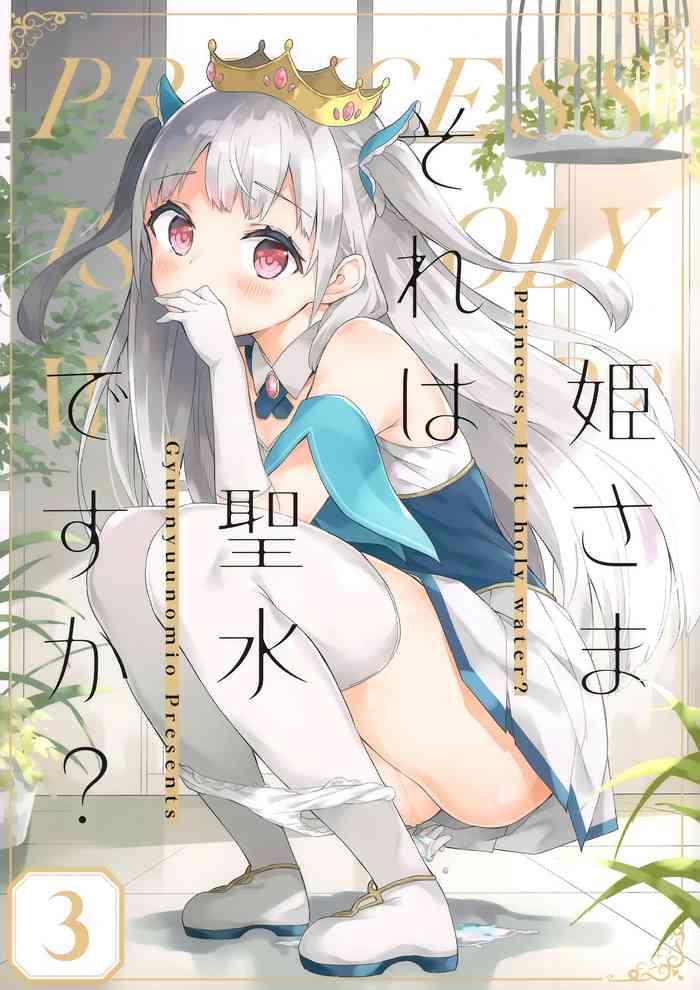 hime sama sore wa seisui desu ka 3 cover