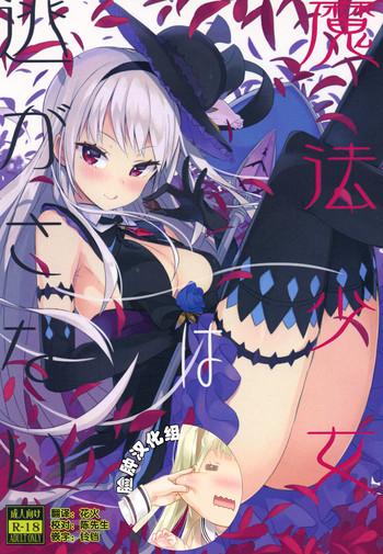 mahou shoujo wa nigasanai cover