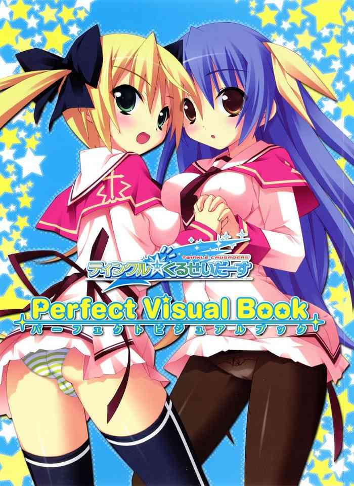 twinkle crusaders perfect visual book cover