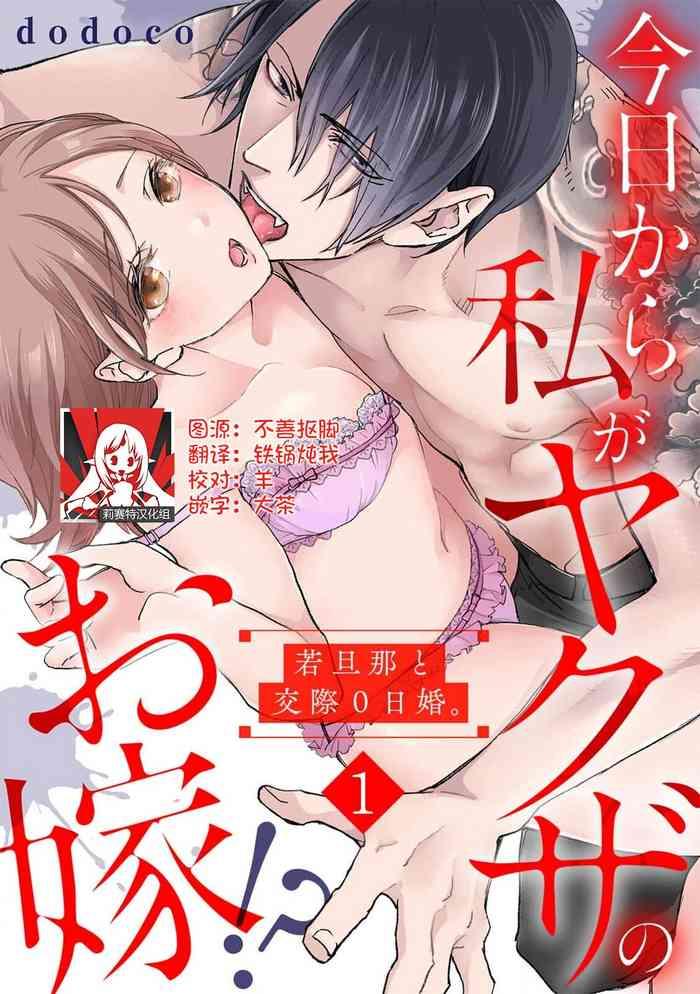 dodoco kyou kara watashi ga yakuza no oyome wakadanna to kousai 0 nichi kon vol 1 2 chinese cover