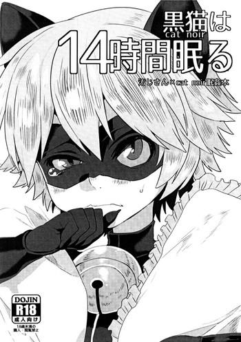 cat noir wa 14 jikan nemuru cover