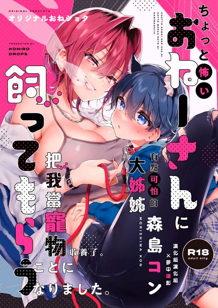 onee san ni kattemorau koto ni narimashita cover