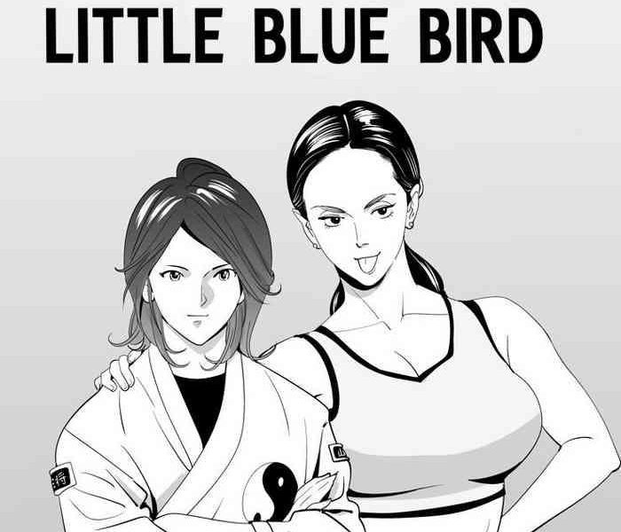 little blue bird cover