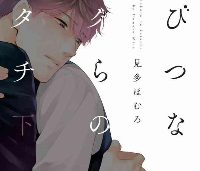 ibitsuna bokura no katachi v2 cover