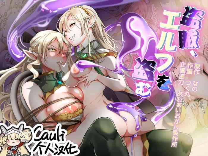 touzoku elf o nusumu cover